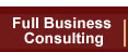 global star capital business consulting